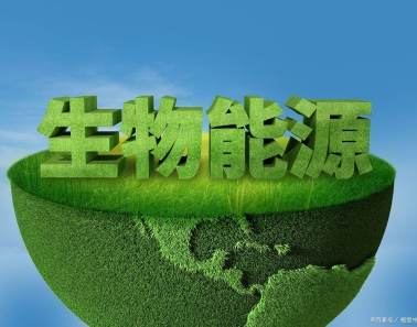 《中國能源報》：生物質能源利用將迎來加速跑
